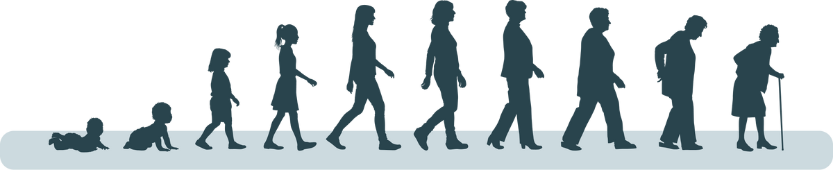 Energy through decades
