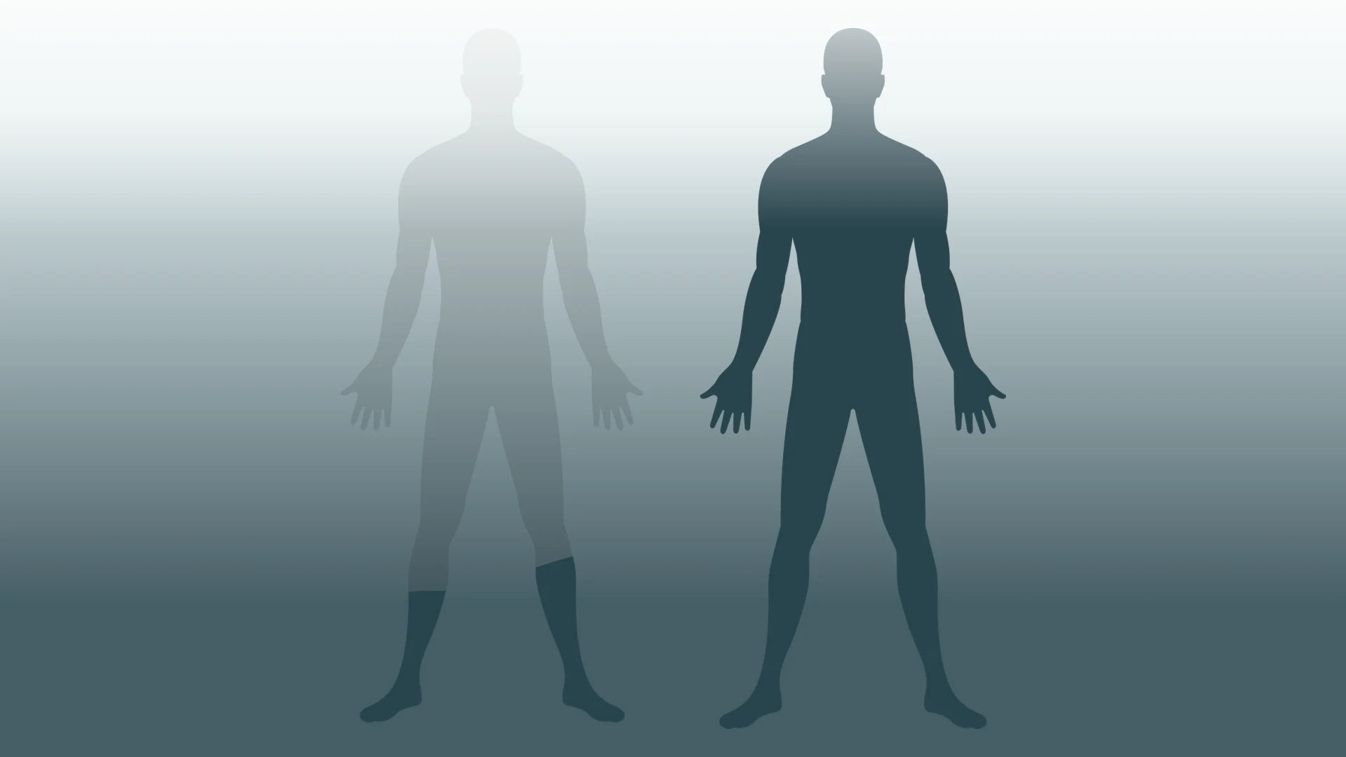 Two body silhouettes comparing current and improved Body Age