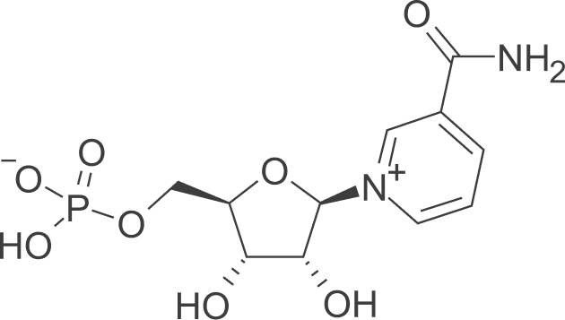 Vitruvin NMN
